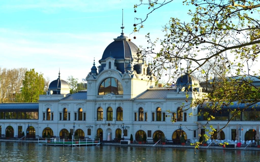 Park Városliget w Budapeszcie nad wodą wśród drzew w słoneczny dzień 