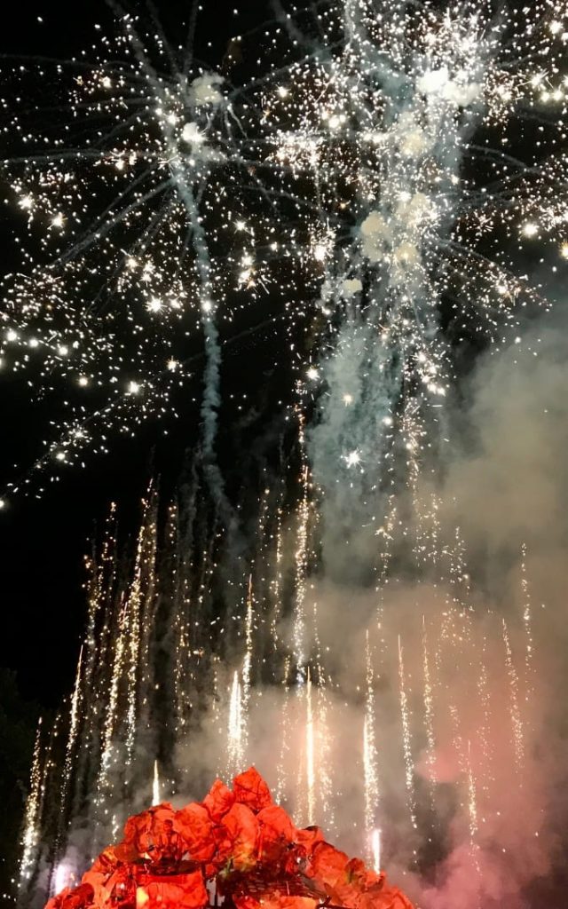 Pokaz fajerwerków nad czerwonymi kwiatami podczas Sziget Festival w Budapeszcie nocą
