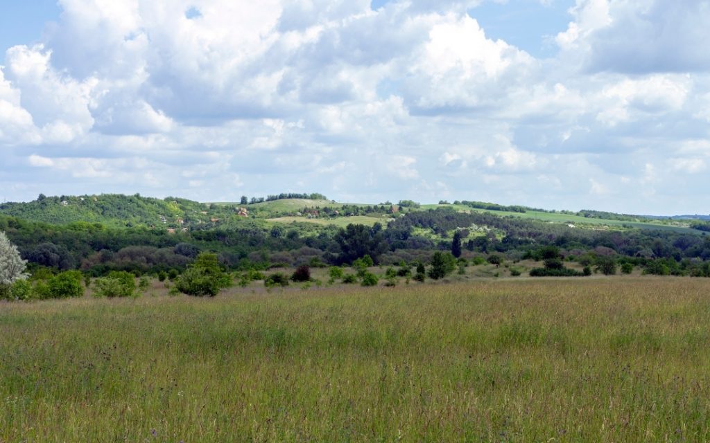 Wzgórza Godollo na Węgrzech