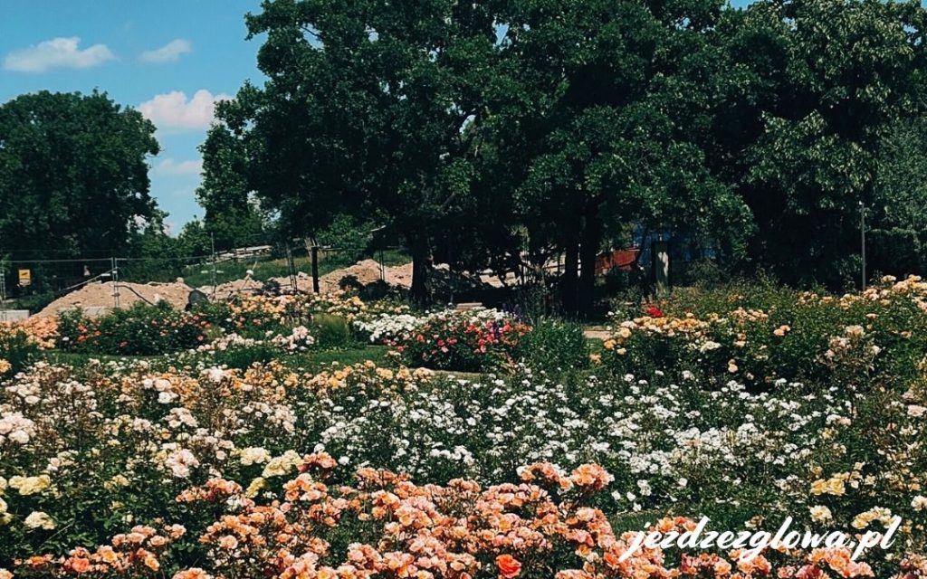 Kwiaty i zieleń przy wejściu na Górę Gellerta Budapesztu