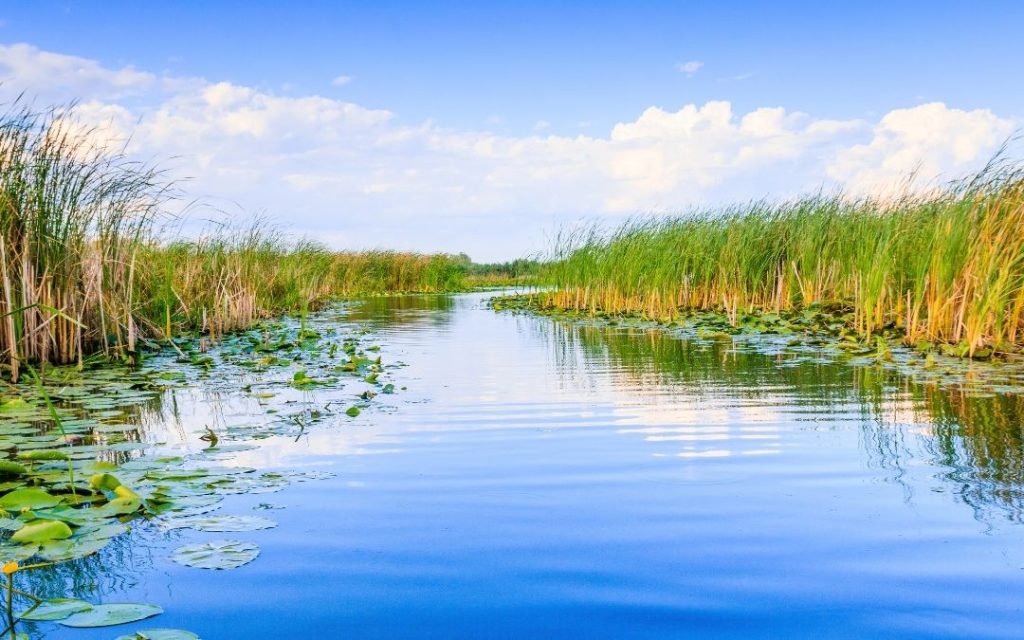 Delta Dunaju w Rumunii