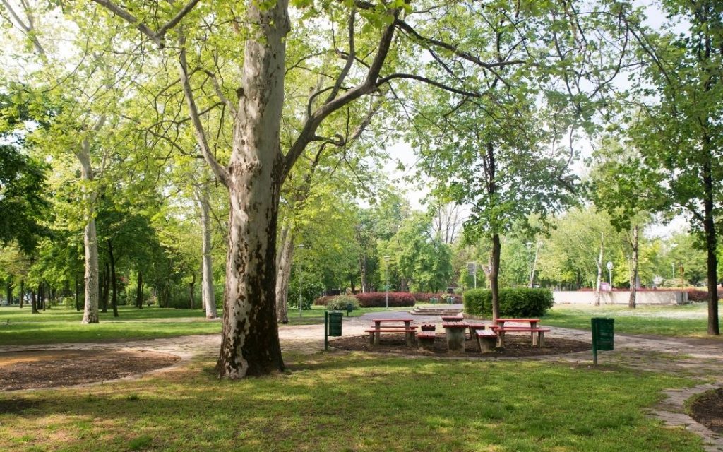 Ławki w parku na wyspie Małgorzaty w Budapeszcie