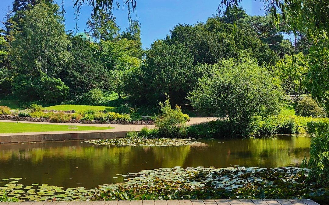 Ogród Botaniczny (Botanisk Have) w Kopenhadze