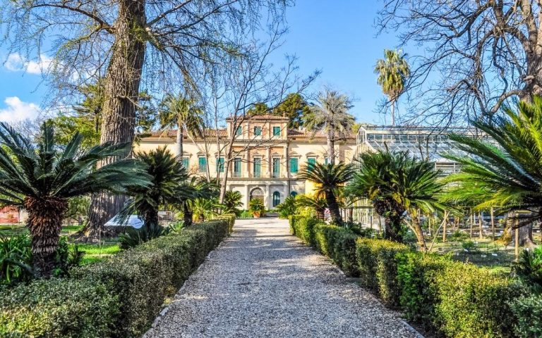 Ogród Botaniczny w Pizie