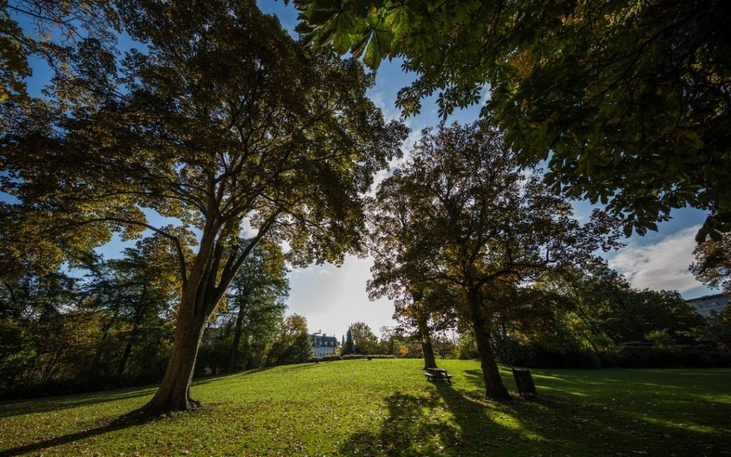 Ørstedsparken w Kopenhadze