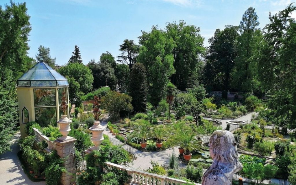 Orto Botanico w Padwie