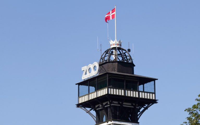 Wieża obserwacyjna w kopenhaskim zoo z duńską flagą na szczycie