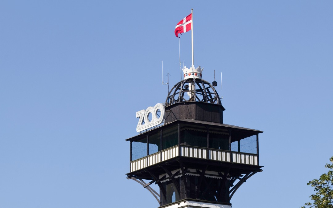 Wieża obserwacyjna w kopenhaskim zoo z duńską flagą na szczycie