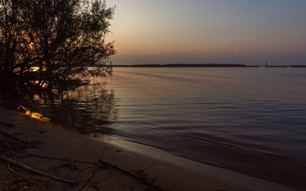 Zachód słońca nad wodą w Bibione. Ciemna plaża i sylwetka drzewa po lewej, a horyzont odbija się w spokojnej tafli wody.