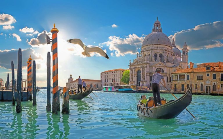 Dzień w Wenecji z perspektywy gondoli - lecąca mewa i widok na Bazylikę Santa Maria della Salute