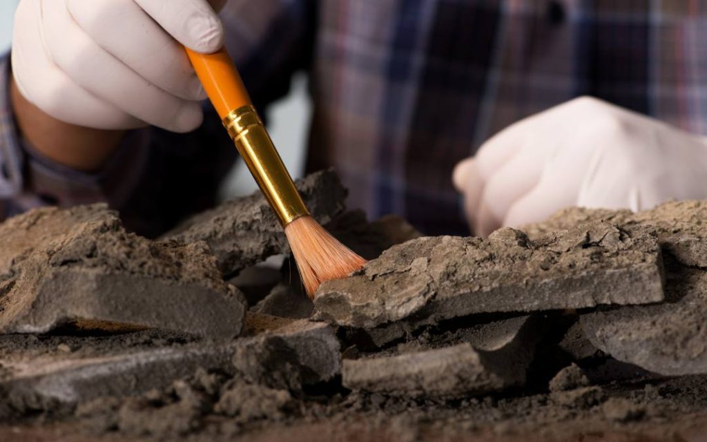 Czyszczenie wykopalisk archeologicznych