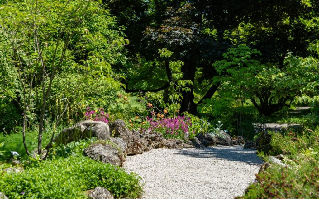 Ogród botaniczny z kwiatami