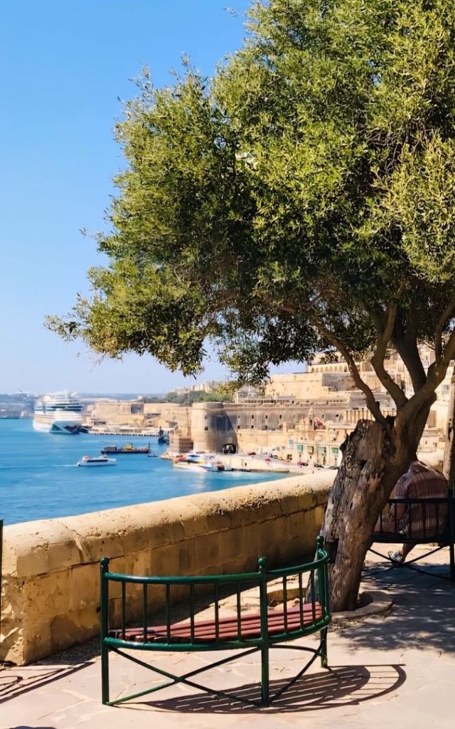 Widok na nabrzeże Valletty z ławeczką i drzewem, w tle port oraz historyczna zabudowa miasta