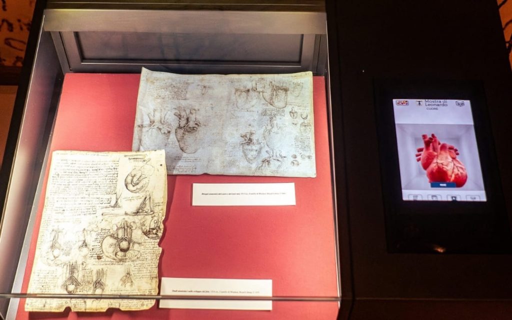 Anatomiczne rysunki serca Leonarda da Vinci i interaktywny ekran w muzeum Mostra di Leonardo w Rzymie