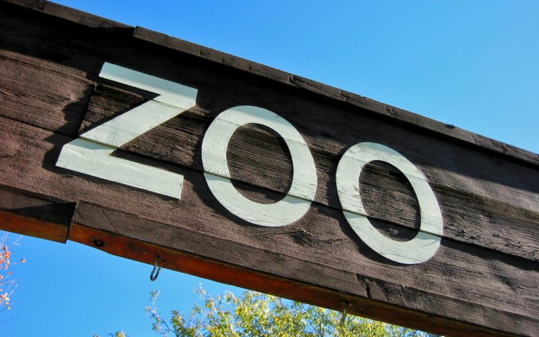 Drewniane wejście do zoo