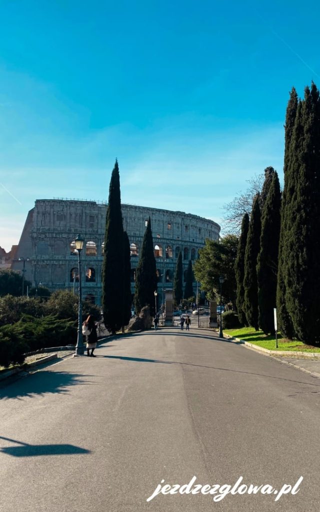 Koloseum widziane z alejki z cyprysam