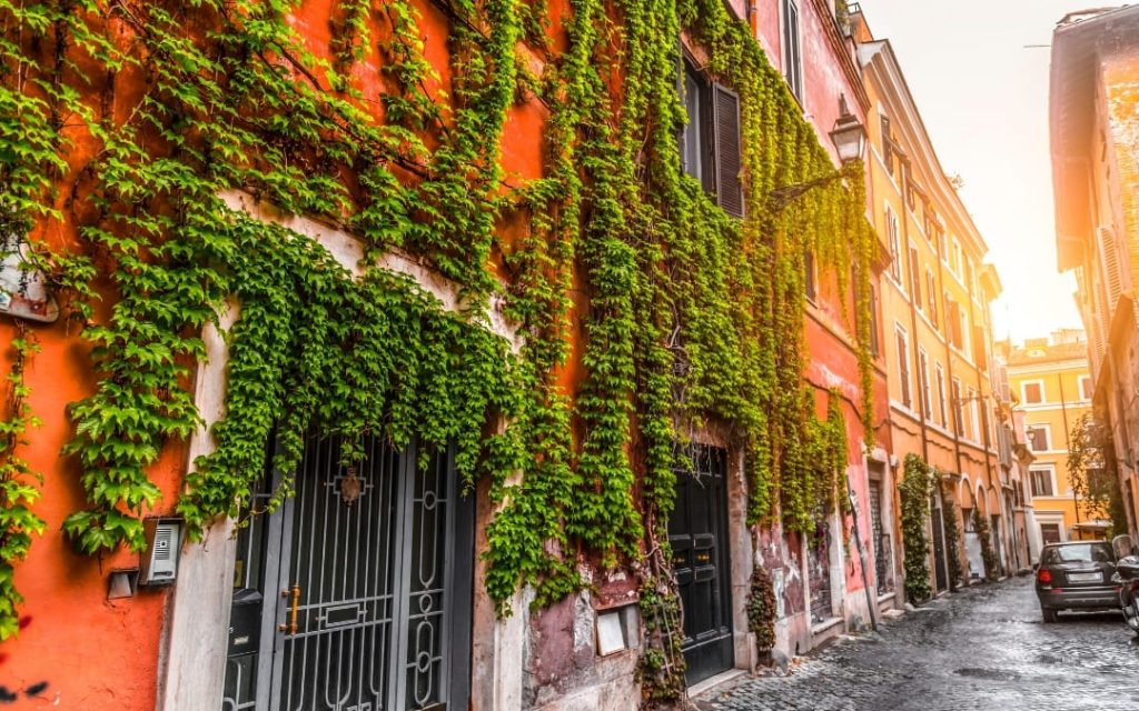 Malownicza ulica w rzymskiej dzielnicy Trastevere z fasadami kamienic porośniętymi zielonym bluszczem w słoneczny dzień