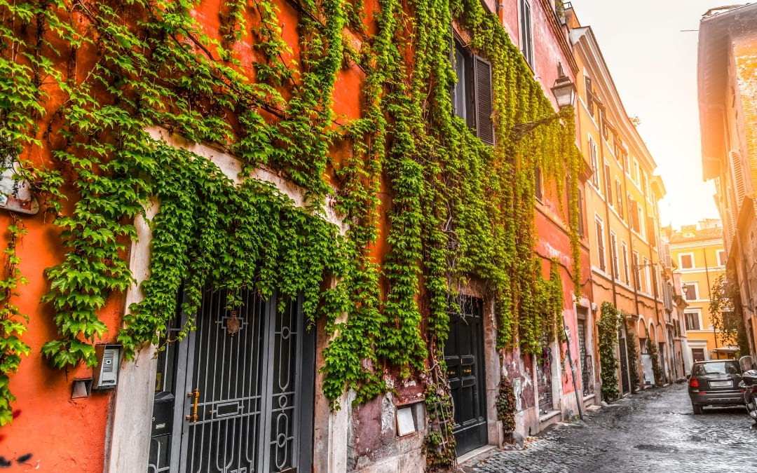 Malownicza ulica w rzymskiej dzielnicy Trastevere z fasadami kamienic porośniętymi zielonym bluszczem w słoneczny dzień