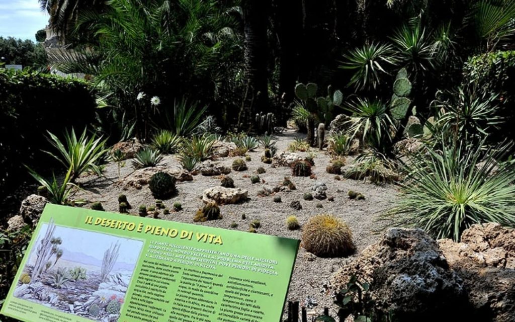 Ogród kaktusów i sukulentów w rzymskim Bioparco z tablicą edukacyjną o roślinności pustynnej
