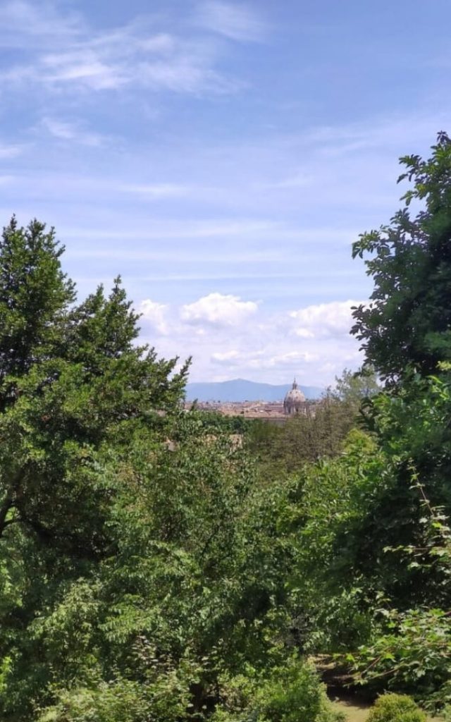 Panoramiczny widok na dachy i kopuły Rzymu z tarasów Ogrodu Botanicznego na Zatybrzu
