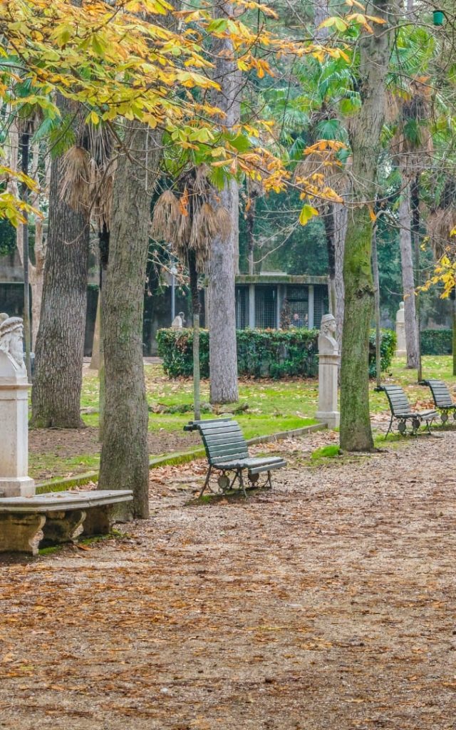 Park Villi Borghese w Rzymie - widok na ławkę wśród jesiennych drzew