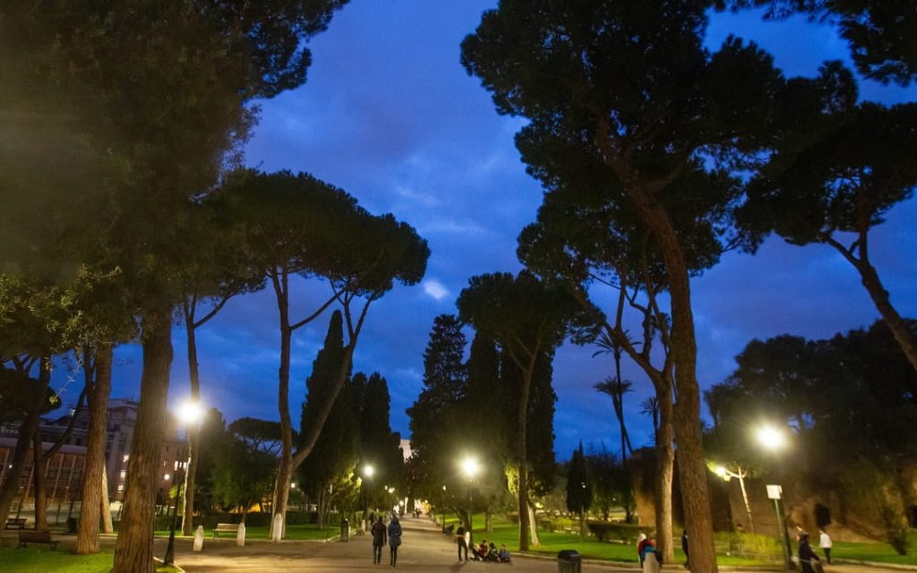 Wieczorny spacer wzdłuż alei Viale delle Magnolie w rzymskim parku Villa Borghese pod wysokimi piniami