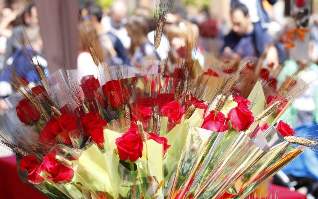 Bukiety czerwonych róż na straganie podczas Sant Jordi - kwiaty owinięte w folię na tle tłumu ludzi