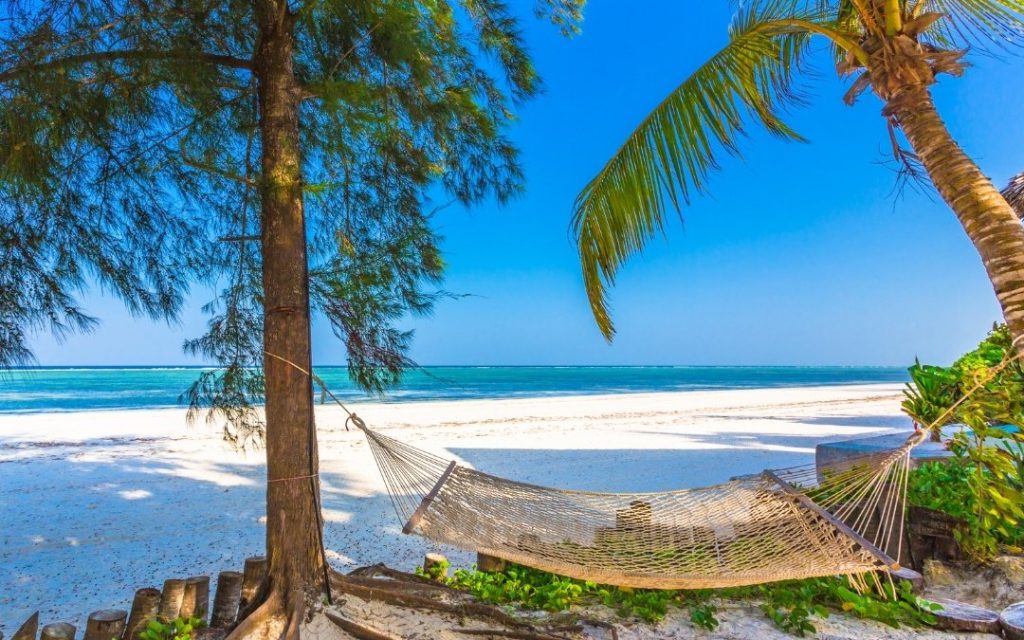 Egzotyczna plaża na Zanzibarze z białym piaskiem, palmami i krystalicznie czystą wodą oceanu.