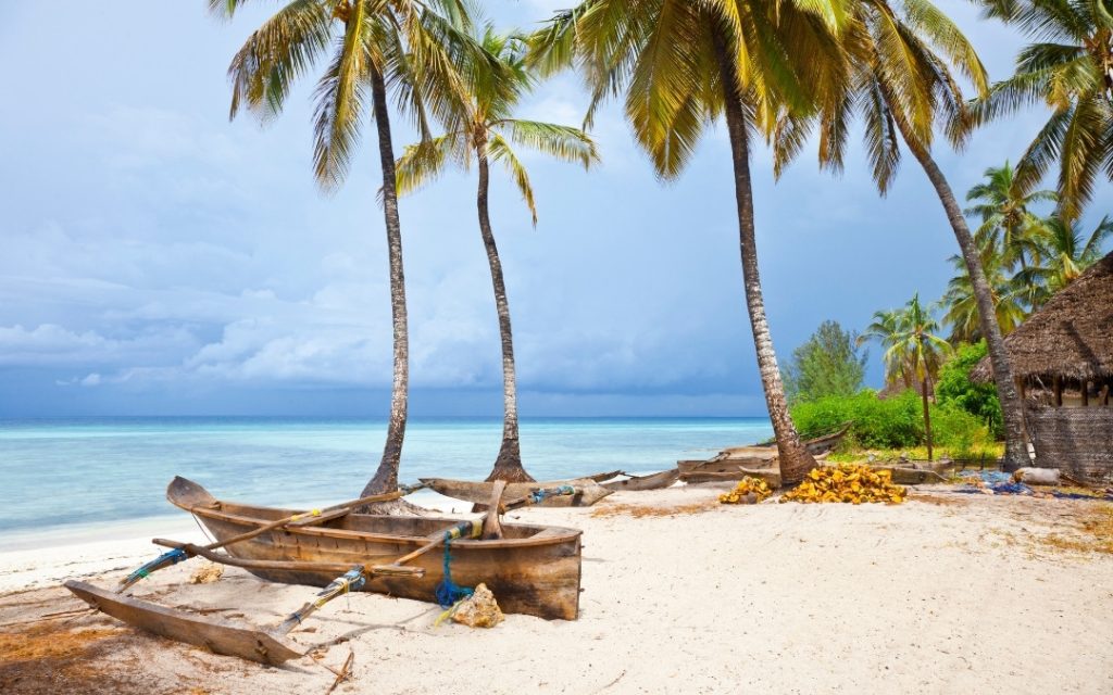 Piaszczysta plaża na Zanzibarze z palmami kokosowymi nad brzegiem oceanu.