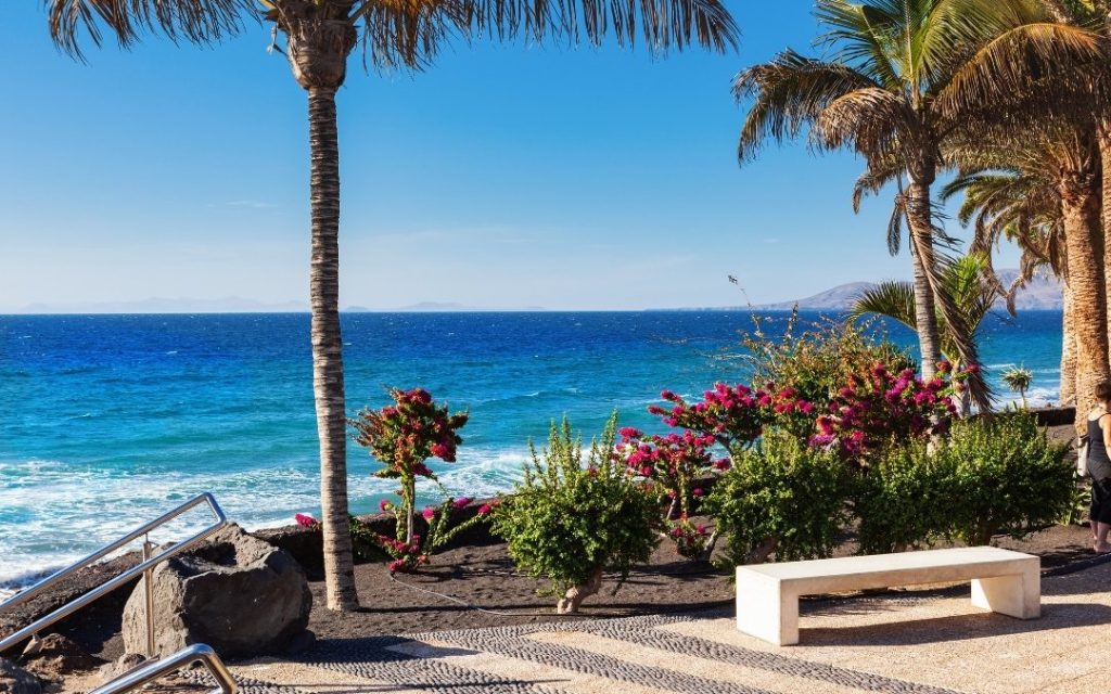 Promenada nad brzegiem oceanu na Wyspach Kanaryjskich z palmami i kwitnącymi krzewami bugenwilli.