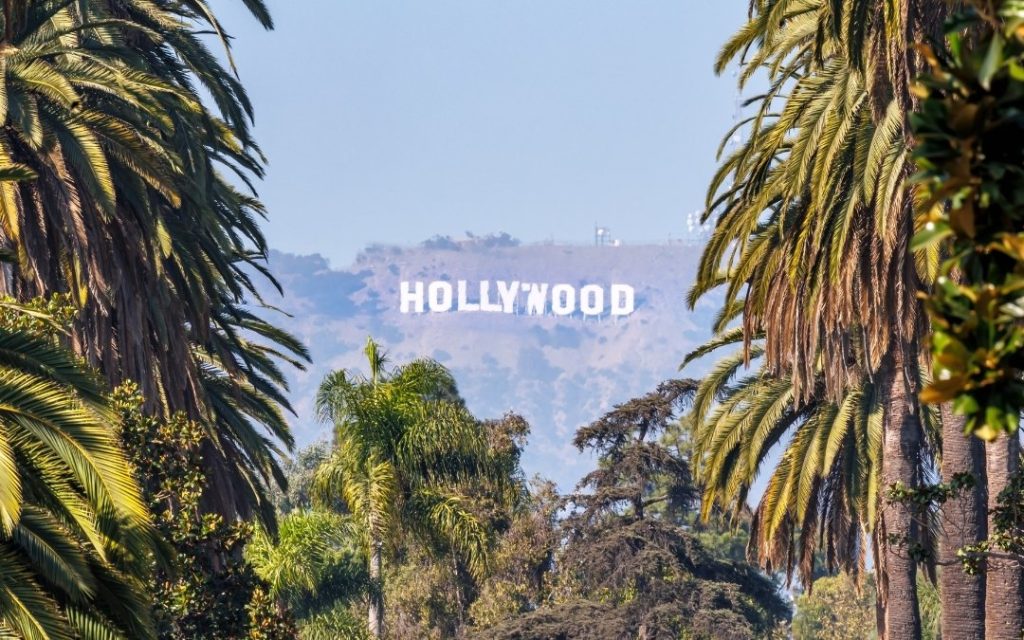 Słynny napis Hollywood na wzgórzu w Los Angeles widziany przez gęste palmy kokosowe.