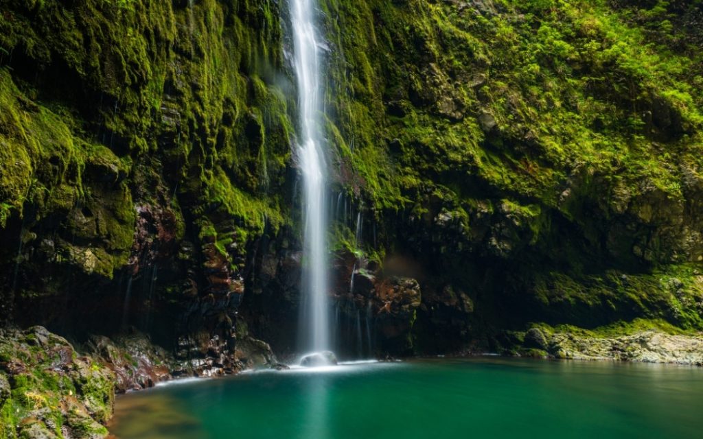 Wysoki wodospad spływający po pionowej, porośniętej intensywną zielenią ścianie skalnej do turkusowej wody na Maderze.