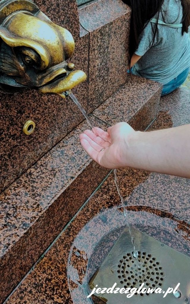 Zbliżenie na ozdobną fontannę w kształcie głowy ryby w Rydze, z której wypływa woda do kamiennej misy