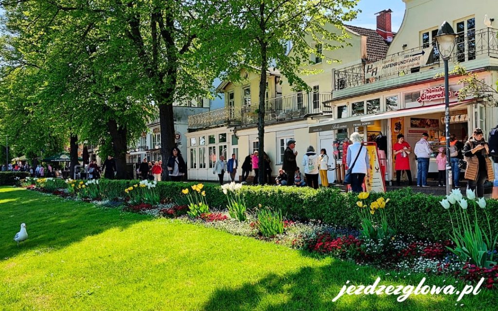 Nadmorska promenada przy kanale Alter Strom w Warnemünde, pełna turystów, z bujną roślinnością