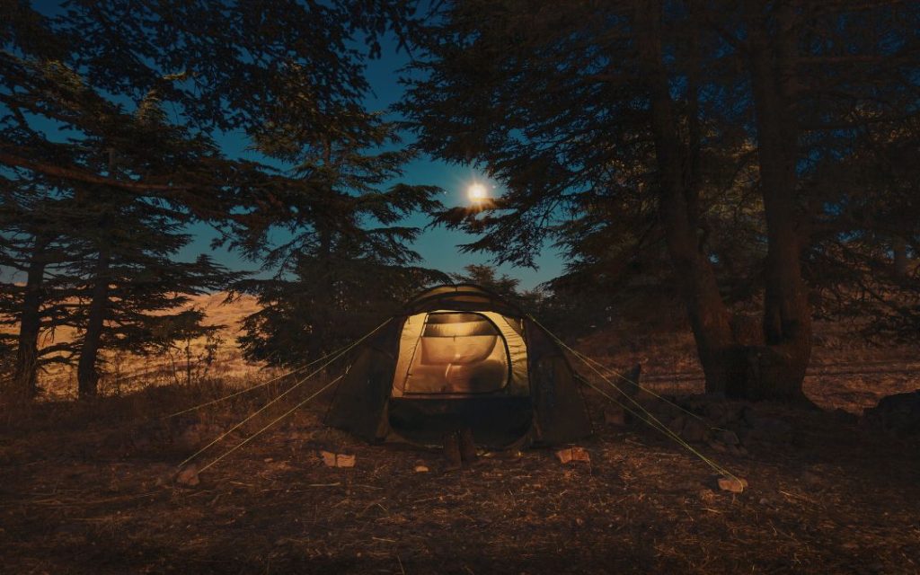 Namiot do campingu między drzewami o zachodzie słońca
