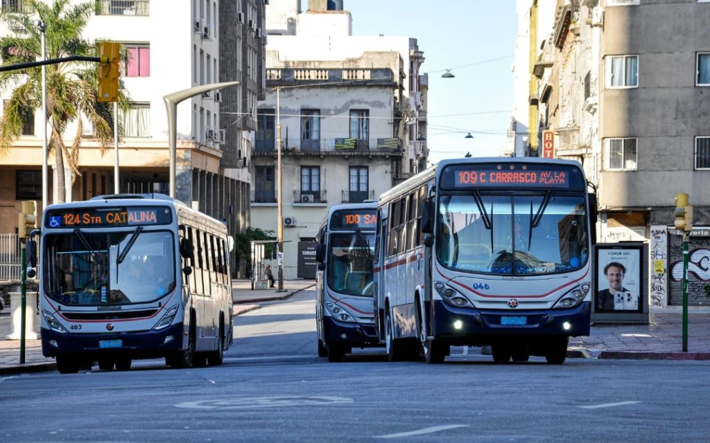 Autobusy komunikacji miejskiej poruszające się ulicami miasta