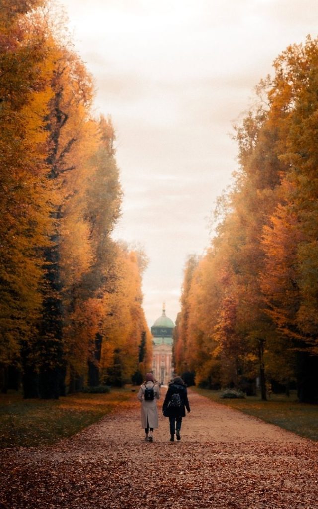 Jesienna aleja w Parku Sanssouci w Poczdamie prowadząca w stronę Nowego Pałacu