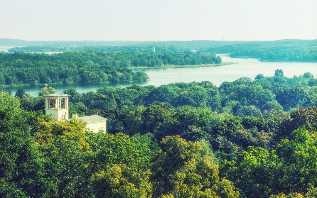 Panoramiczny widok na zielone okolice jeziora Wannsee w Berlinie, z lasami, rozległą taflą wody i willową zabudową ukrytą wśród drzew