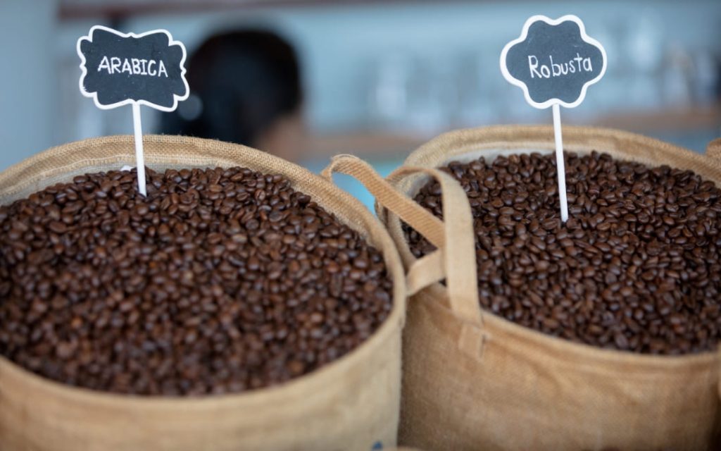 Worki wypełnione ziarnami kawy z oznaczeniami Arabica i Robusta