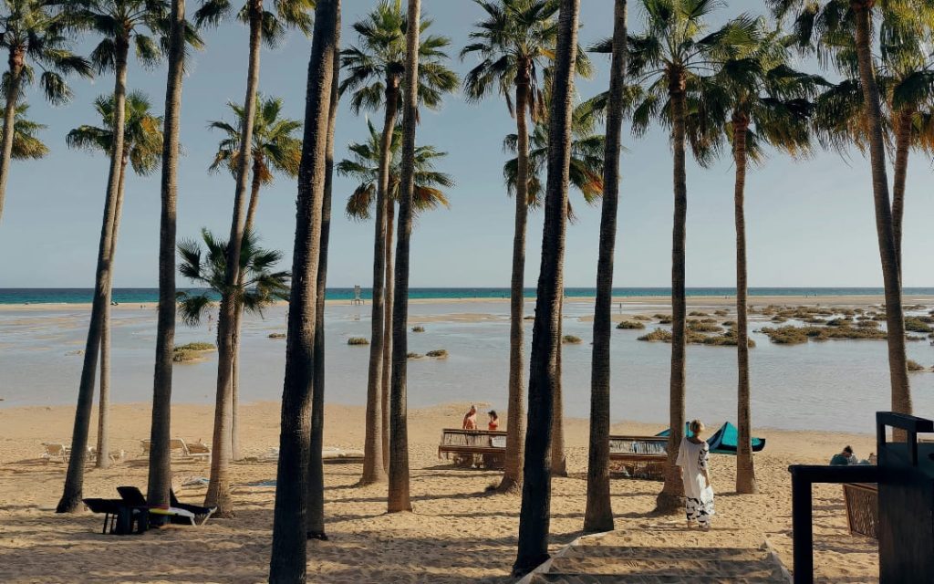 Plaża z palmami i spokojnym oceanem w tropikalnym kurorcie