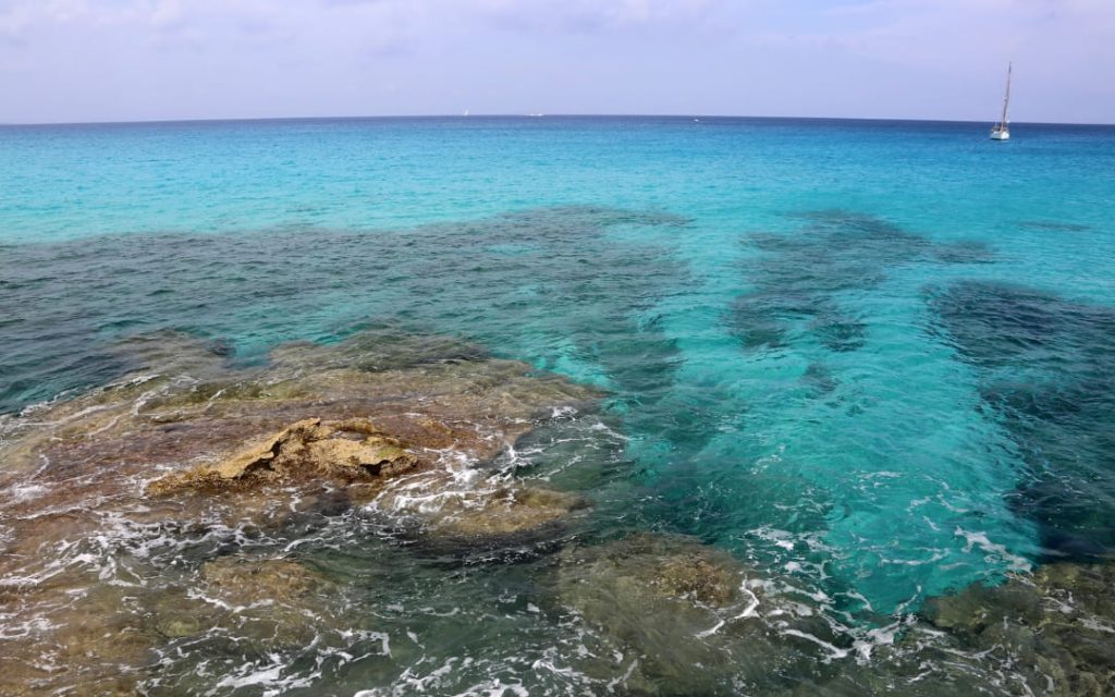 Turkusowy ocean z kamienistym wybrzeżem i żaglówką 